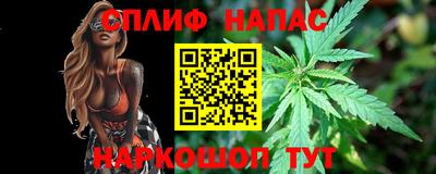 стаф Новозыбков