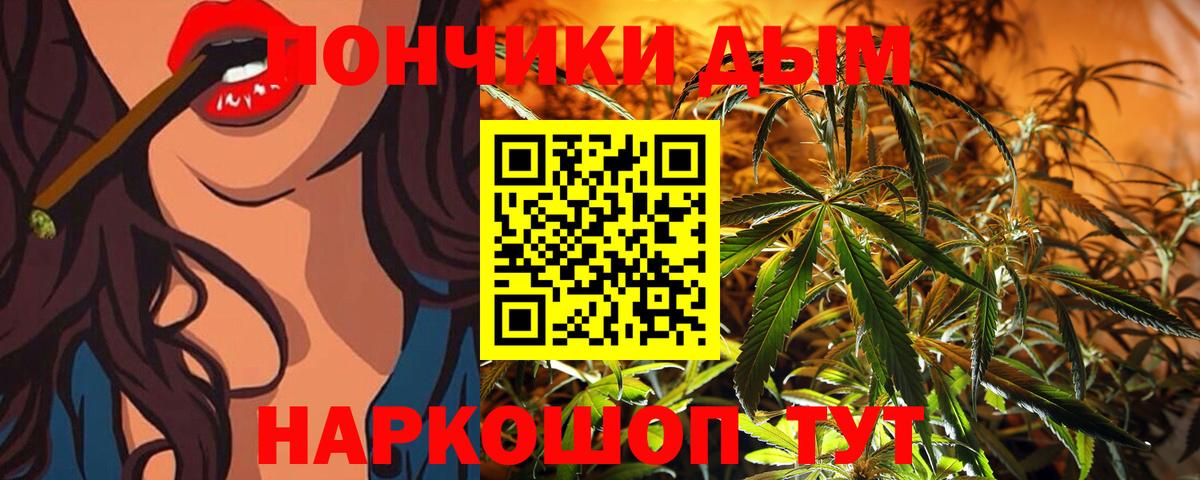 Каннабис планчик Удомля